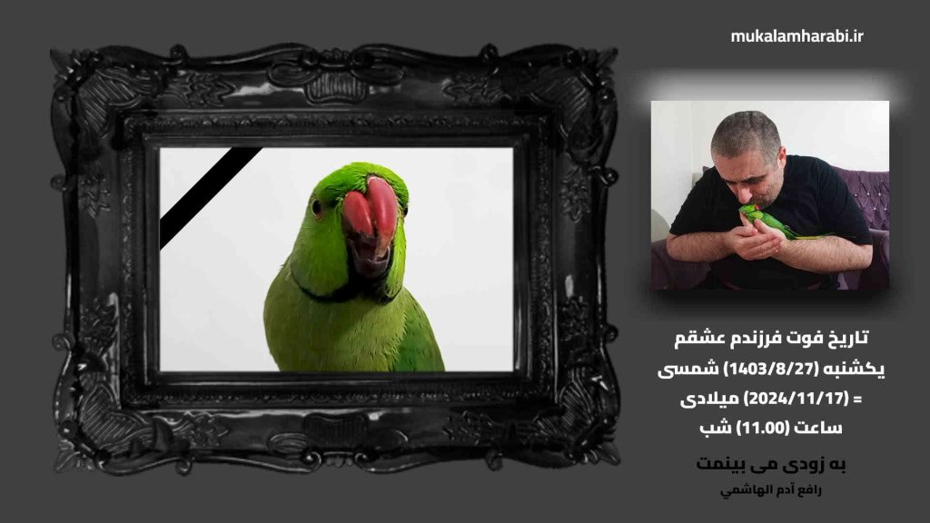 رافع آدم الهاشمي، إلى اللقاء ابني حبيبي